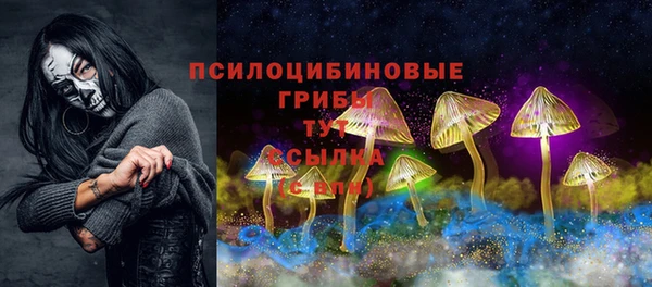 мет Осташков