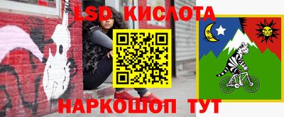 мдпв Донской