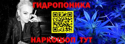 прущие крисы Дубна
