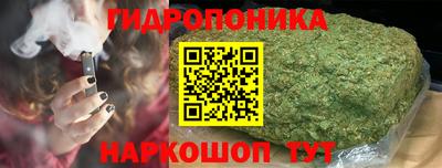 прущие крисы Дубна