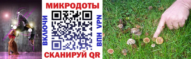 Галлюциногенные грибы Psilocybe  Биробиджан 