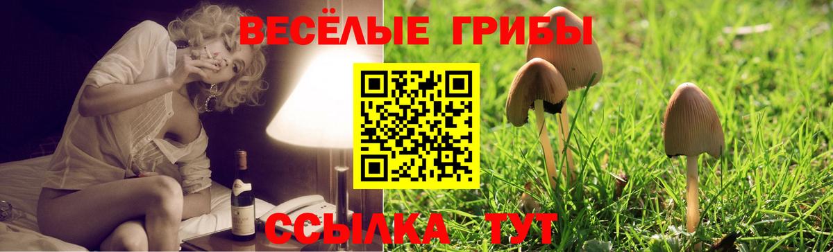 Псилоцибиновые грибы ЛСД Биробиджан