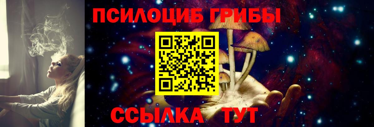 Галлюциногенные грибы мицелий  Псилоцибиновые грибы MAGIC MUSHROOMS  Вход с VPN  Биробиджан 